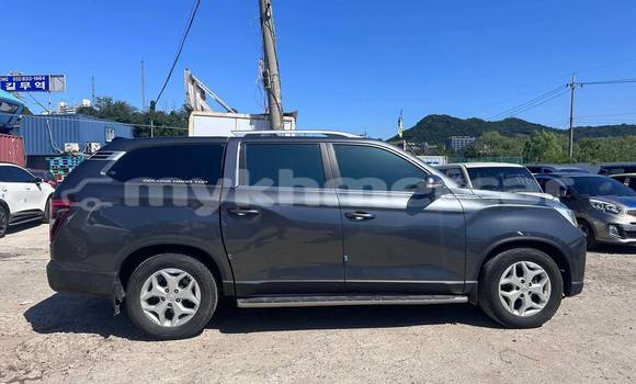 Buy Used SsangYong Rexton Other Car in Phnom Penh in Phnom Penh