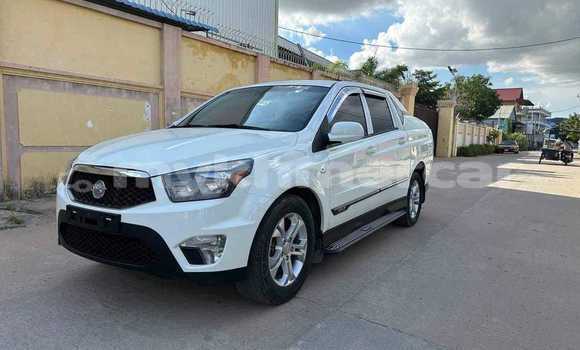 Buy Used SsangYong Rexton White Car in Cheom Ksan in Preah Vihear Province