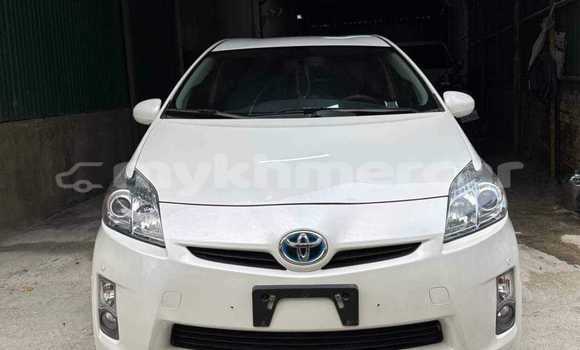 ទិញ បានប្រើ Toyota Prius White ឡាន} ក្នុង Dăm Thnăm ក្នុង Kampot Province ទិញ បានប្រើ Toyota Prius White ឡាន} ក្នុង Dăm Thnăm ក្នុង Kampot Province