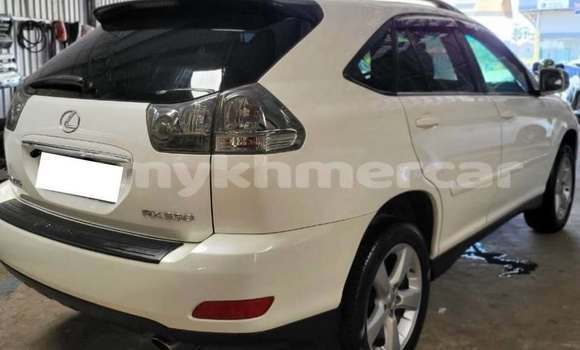 Buy Used Lexus RX 330 White Car in Chbar Mon in Kampong Speu Province Buy Used Lexus RX 330 White Car in Chbar Mon in Kampong Speu Province