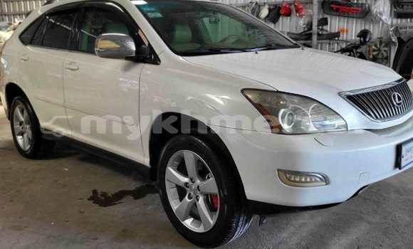 Buy Used Lexus RX 330 White Car in Chbar Mon in Kampong Speu Province Buy Used Lexus RX 330 White Car in Chbar Mon in Kampong Speu Province
