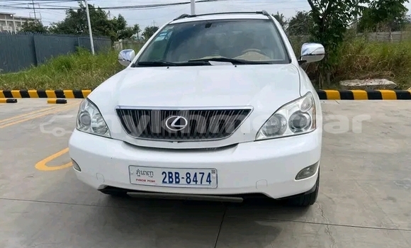 Buy Used Lexus RX 330 White Car in Kampot in Kampot Province Buy Used Lexus RX 330 White Car in Kampot in Kampot Province