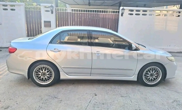 Buy Used Toyota Altis White Car in Bavet in Svay Rieng Province