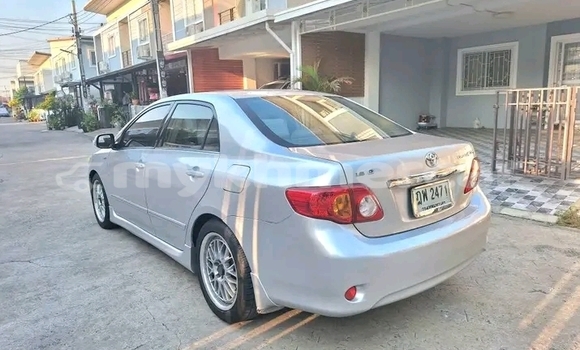 Buy Used Toyota Altis White Car in Bavet in Svay Rieng Province Buy Used Toyota Altis White Car in Bavet in Svay Rieng Province
