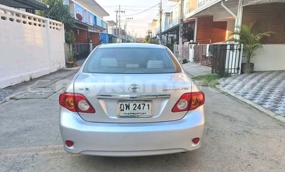 Buy Used Toyota Altis White Car in Bavet in Svay Rieng Province Buy Used Toyota Altis White Car in Bavet in Svay Rieng Province