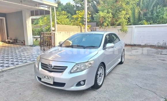 Buy Used Toyota Altis White Car in Bavet in Svay Rieng Province Buy Used Toyota Altis White Car in Bavet in Svay Rieng Province