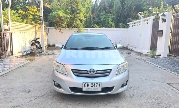 Buy Used Toyota Altis White Car in Bavet in Svay Rieng Province Buy Used Toyota Altis White Car in Bavet in Svay Rieng Province