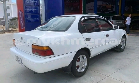 Buy Used Toyota Corolla White Car in Koulen in Preah Vihear Province Buy Used Toyota Corolla White Car in Koulen in Preah Vihear Province