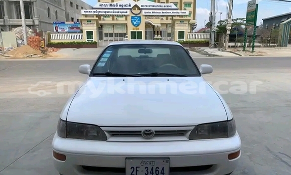 Buy Used Toyota Corolla White Car in Koulen in Preah Vihear Province Buy Used Toyota Corolla White Car in Koulen in Preah Vihear Province