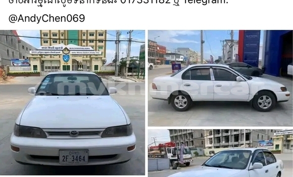 Buy Used Toyota Corolla White Car in Chbar Mon in Kampong Speu Province Buy Used Toyota Corolla White Car in Chbar Mon in Kampong Speu Province
