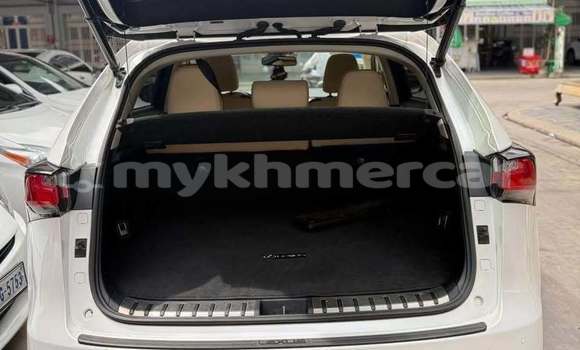 ទិញ បានប្រើ Lexus NX White ឡាន} ក្នុង Phnom Penh ក្នុង Phnom Penh ទិញ បានប្រើ Lexus NX White ឡាន} ក្នុង Phnom Penh ក្នុង Phnom Penh