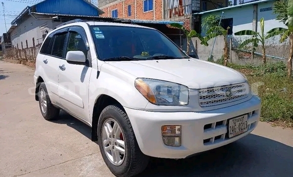 Buy Used Toyota RAV4 White Car in Kampot in Kampot Province Buy Used Toyota RAV4 White Car in Kampot in Kampot Province