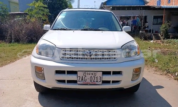Buy Used Toyota RAV4 White Car in Kampot in Kampot Province Buy Used Toyota RAV4 White Car in Kampot in Kampot Province