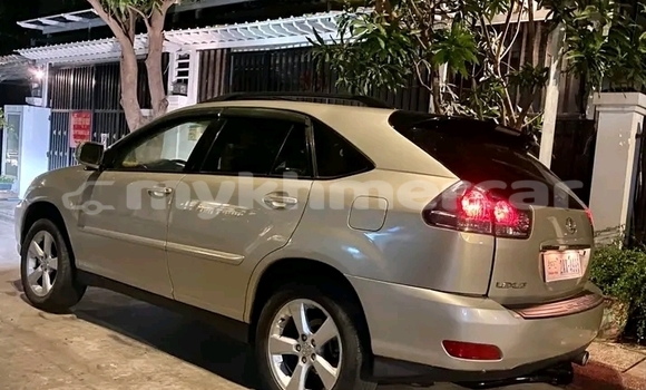 Buy Used Lexus RX 330 White Car in Kep in Kep Province Buy Used Lexus RX 330 White Car in Kep in Kep Province