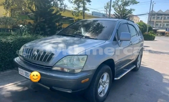 Buy Used Lexus RX 330 Other Car in Chbar Mon in Kampong Speu Province Buy Used Lexus RX 330 Other Car in Chbar Mon in Kampong Speu Province