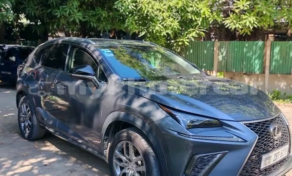 Buy Used Lexus NX Other Car in Chbar Mon in Kampong Speu Province Buy Used Lexus NX Other Car in Chbar Mon in Kampong Speu Province
