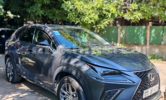 Buy Used Lexus NX Other Car in Chbar Mon in Kampong Speu Province Buy Used Lexus NX Other Car in Chbar Mon in Kampong Speu Province