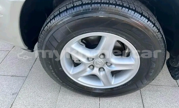 Buy Used Lexus RX 330 Other Car in Chbar Mon in Kampong Speu Province Buy Used Lexus RX 330 Other Car in Chbar Mon in Kampong Speu Province