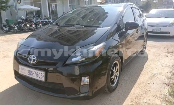 Buy Used Toyota Prius Black Car in Kampot in Kampot Province Buy Used Toyota Prius Black Car in Kampot in Kampot Province