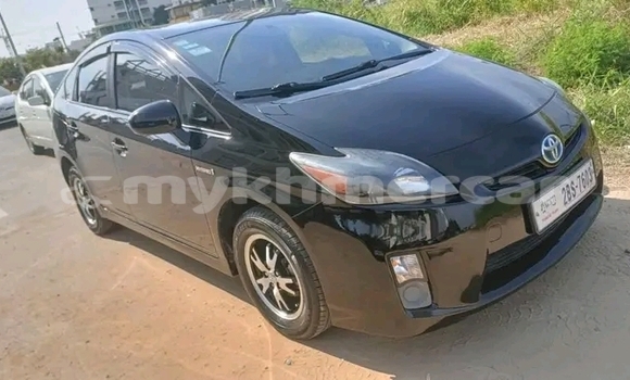 Buy Used Toyota Prius Black Car in Kampot in Kampot Province Buy Used Toyota Prius Black Car in Kampot in Kampot Province