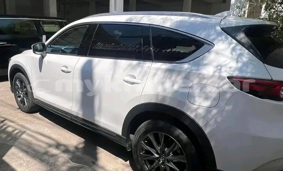 Buy Used Mazda CX-9 White Car in Chbar Mon in Kampong Speu Province Buy Used Mazda CX-9 White Car in Chbar Mon in Kampong Speu Province