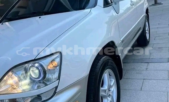 Buy Used Lexus RX 300 Other Car in Dăm Thnăm in Kampot Province Buy Used Lexus RX 300 Other Car in Dăm Thnăm in Kampot Province