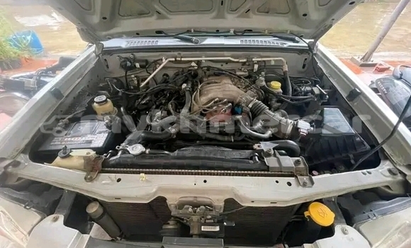 Buy Used Nissan Frontier White Car in Moung Ruessei in Battambang Province Buy Used Nissan Frontier White Car in Moung Ruessei in Battambang Province