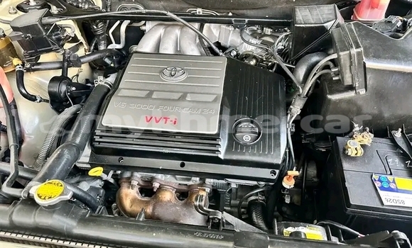 Buy Used Toyota Highlander Other Car in Chbar Mon in Kampong Speu Province Buy Used Toyota Highlander Other Car in Chbar Mon in Kampong Speu Province