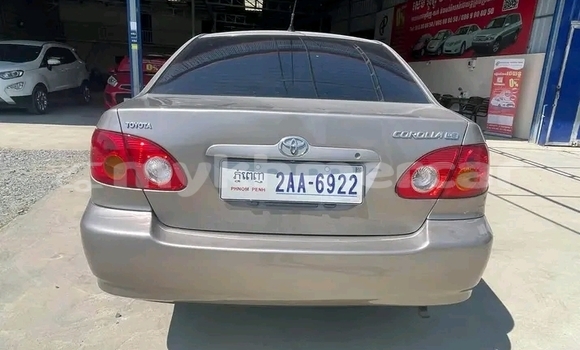 Buy Used Toyota Corolla Other Car in Kep in Kep Province Buy Used Toyota Corolla Other Car in Kep in Kep Province