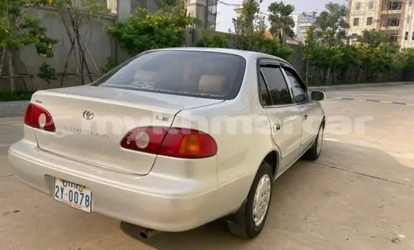 Buy Used Toyota Corolla Other Car in Khŭm Sráng in Kampong Speu Province Buy Used Toyota Corolla Other Car in Khŭm Sráng in Kampong Speu Province