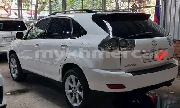 Buy Used Lexus RX 330 White Car in Chbar Mon in Kampong Speu Province Buy Used Lexus RX 330 White Car in Chbar Mon in Kampong Speu Province