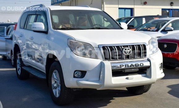 Buy Import Toyota Prado White Car in Import - Dubai in Kampot Province Buy Import Toyota Prado White Car in Import - Dubai in Kampot Province