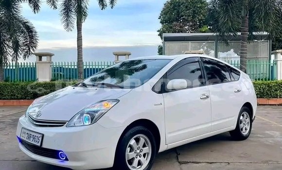 Buy Used Toyota Premio White Car in Cheom Ksan in Preah Vihear Province Buy Used Toyota Premio White Car in Cheom Ksan in Preah Vihear Province