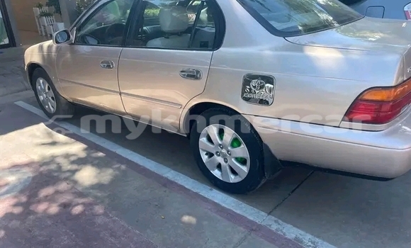 Buy Used Toyota Corolla Other Car in Chbar Mon in Kampong Speu Province Buy Used Toyota Corolla Other Car in Chbar Mon in Kampong Speu Province