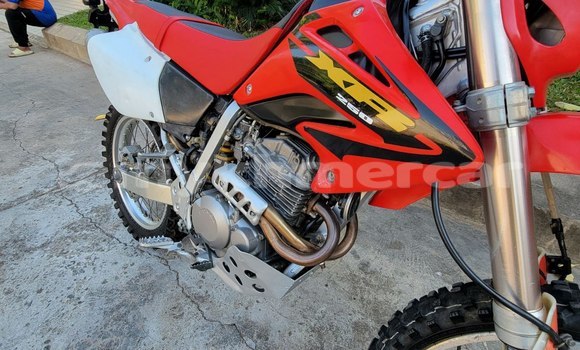 Buy Import Honda XR Red Bike in Phnom Penh in Phnom Penh Buy Import Honda XR Red Bike in Phnom Penh in Phnom Penh