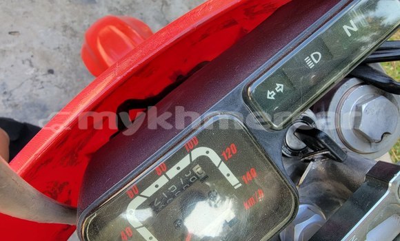 Buy Import Honda XR Red Bike in Phnom Penh in Phnom Penh Buy Import Honda XR Red Bike in Phnom Penh in Phnom Penh