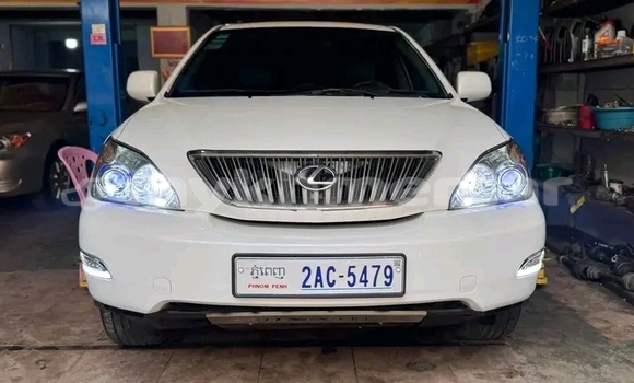 Buy Used Lexus RX 330 White Car in Neak Leung in Prey Veng Province Buy Used Lexus RX 330 White Car in Neak Leung in Prey Veng Province