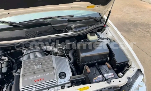 Buy Used Lexus RX 300 Other Car in Chbar Mon in Kampong Speu Province Buy Used Lexus RX 300 Other Car in Chbar Mon in Kampong Speu Province