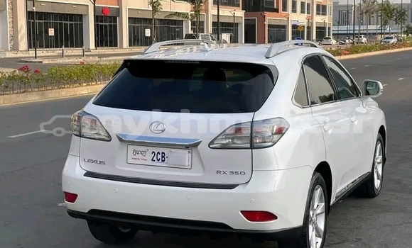 Buy Used Lexus RX 350 White Car in Bavet in Svay Rieng Province Buy Used Lexus RX 350 White Car in Bavet in Svay Rieng Province