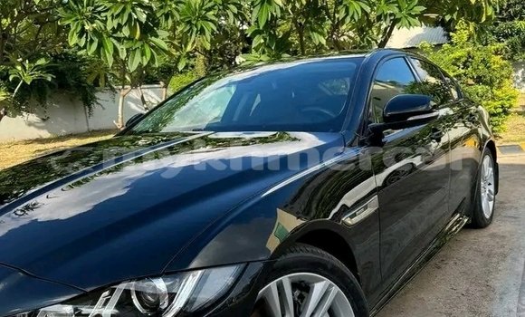 Buy Used Jaguar XE Black Car in Banteay Meanchey in Banteay Meanchey Province Buy Used Jaguar XE Black Car in Banteay Meanchey in Banteay Meanchey Province