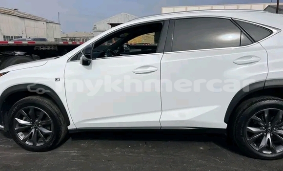Buy Used Lexus NX White Car in Chbar Mon in Kampong Speu Province Buy Used Lexus NX White Car in Chbar Mon in Kampong Speu Province