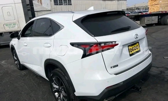 Buy Used Lexus NX White Car in Chbar Mon in Kampong Speu Province Buy Used Lexus NX White Car in Chbar Mon in Kampong Speu Province