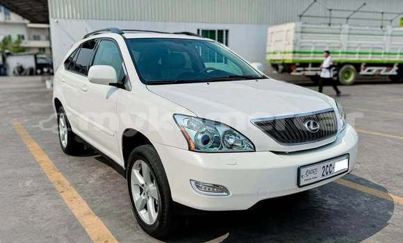 Acheter Occasion Voiture Lexus RX 330 Blanc à Phnom Penh, Phnom Penh Acheter Occasion Voiture Lexus RX 330 Blanc à Phnom Penh, Phnom Penh