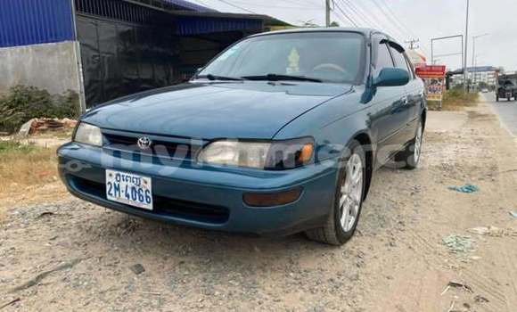 Buy Used Acura CSX Other Car in Bavet in Svay Rieng Province