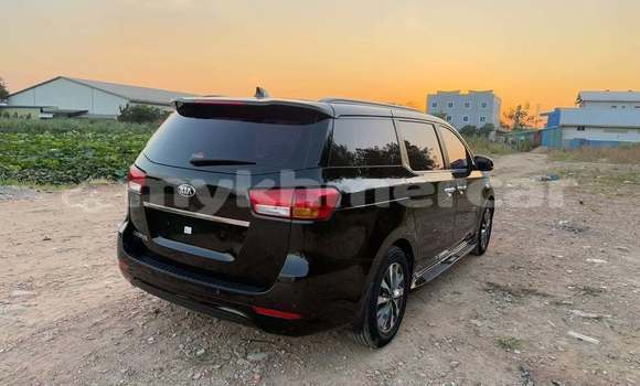 Buy Used Kia Carnival Other Car in Bavet in Svay Rieng Province Buy Used Kia Carnival Other Car in Bavet in Svay Rieng Province