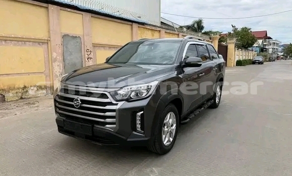 Buy Used SsangYong Rexton Black Car in Chbar Mon in Kampong Speu Province Buy Used SsangYong Rexton Black Car in Chbar Mon in Kampong Speu Province
