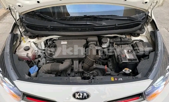 Buy Used Kia Morning White Car in Khemarak Phoumin in Koh Kong Province Buy Used Kia Morning White Car in Khemarak Phoumin in Koh Kong Province