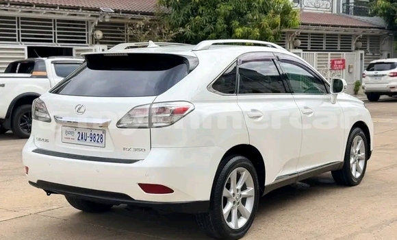 Buy Used Lexus RX 330 White Car in Chbar Mon in Kampong Speu Province Buy Used Lexus RX 330 White Car in Chbar Mon in Kampong Speu Province