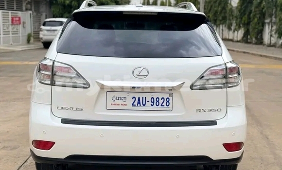 Buy Used Lexus RX 330 White Car in Chbar Mon in Kampong Speu Province Buy Used Lexus RX 330 White Car in Chbar Mon in Kampong Speu Province