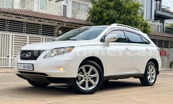 Buy Used Lexus RX 330 White Car in Chbar Mon in Kampong Speu Province Buy Used Lexus RX 330 White Car in Chbar Mon in Kampong Speu Province